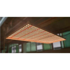 FOCUS LITE FCS-G300W