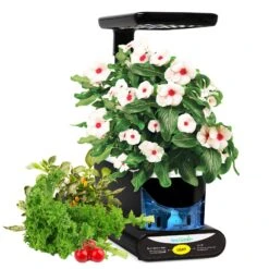 AeroGarden Seed Kits 3 Pod