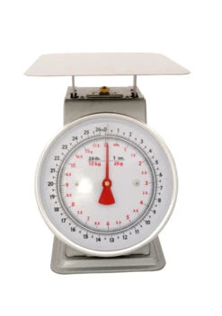 25 Lb / 12 Kg Platform Scale 9” X 9” Stainless