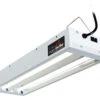 Agrobrite T5 2' Fixture