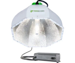 Greenbeams CMh Reflector W/Phantom CMh Ballast