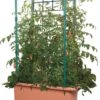 Tomato Trellis Garden On Wheels