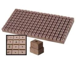 Oasis Rootcube 1", Case Of 20