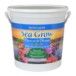 Sea Grow Flower And Bloom