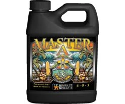 Master-A