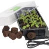 Jump Start 24-Cell Grow Plug Mini Germination Station W/Heat Mat