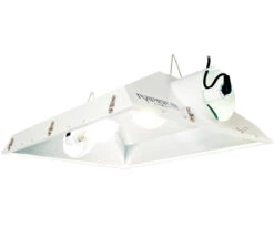 Raptor 8" Air Cooled Reflector With Dual Lamps