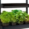 Micro Grow Light Garden, Black