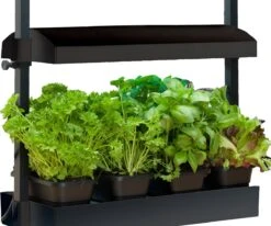 Micro Grow Light Garden, Black