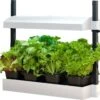 Micro Grow Light Garden, White