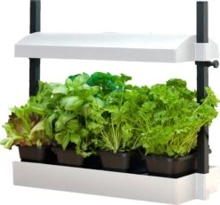 Micro Grow Light Garden, White